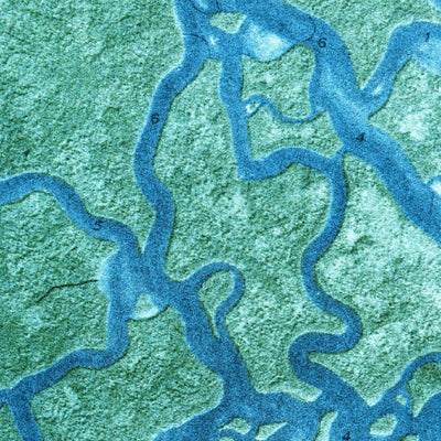 United States Geological Survey Whitewater Bay West, FL (1972, 24000-Scale) digital map