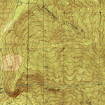 United States Geological Survey Wickersham, WA (1921, 62500-Scale) digital map