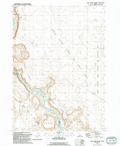 United States Geological Survey Wild Horse Butte, ID (1992, 24000-Scale) digital map