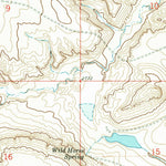 United States Geological Survey Wild Horse Butte, MT (1971, 24000-Scale) digital map