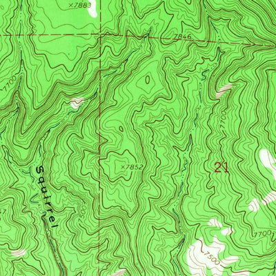 United States Geological Survey Wild Horse Canyon, NM (1964, 24000-Scale) digital map