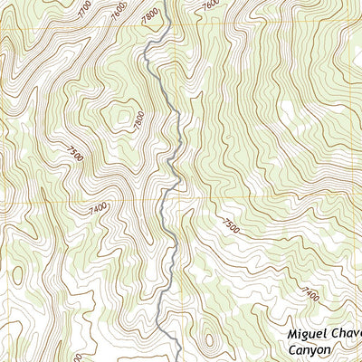 United States Geological Survey Wild Horse Canyon, NM (2020, 24000-Scale) digital map