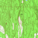 United States Geological Survey Wild Horse Island, MT (1964, 24000-Scale) digital map