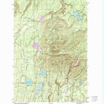 United States Geological Survey Wildcat Lake, WA (1997, 24000-Scale) digital map