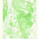United States Geological Survey Wildhorse Mesa, NM (1966, 24000-Scale) digital map