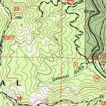 United States Geological Survey Wildwood, CA (1998, 24000-Scale) digital map