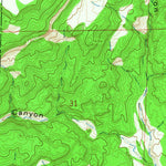 United States Geological Survey Wiley Mesa, NM (1964, 24000-Scale) digital map