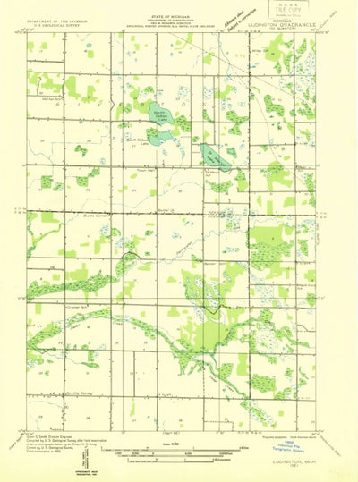 United States Geological Survey Wiley, MI (1932, 31680-Scale) digital map