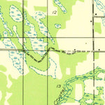 United States Geological Survey Wiley, MI (1932, 31680-Scale) digital map