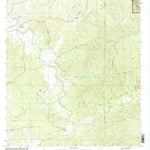 United States Geological Survey Wilkinson, MS (2000, 24000-Scale) digital map