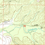 United States Geological Survey Wilkinson, MS (2000, 24000-Scale) digital map