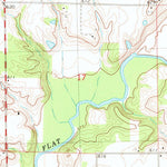 United States Geological Survey Willeys, IL (1974, 24000-Scale) digital map