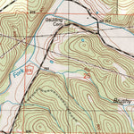 United States Geological Survey Willhoit, MO (2004, 24000-Scale) digital map
