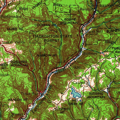 United States Geological Survey Williamsport, PA-NY (1965, 250000-Scale) digital map