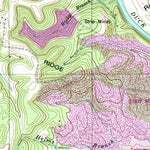 United States Geological Survey Williamsport, TN (1951, 24000-Scale) digital map