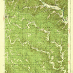 United States Geological Survey Williamsville, MO (1940, 62500-Scale) digital map