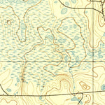 United States Geological Survey Williston, FL (1895, 62500-Scale) digital map