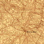 United States Geological Survey Williston, SC (1923, 48000-Scale) digital map