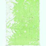 United States Geological Survey Willow Mountain, MT (1977, 24000-Scale) digital map
