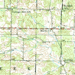United States Geological Survey Willow Springs, MO (1945, 62500-Scale) digital map