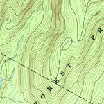 United States Geological Survey Willowemoc, NY (1966, 24000-Scale) digital map