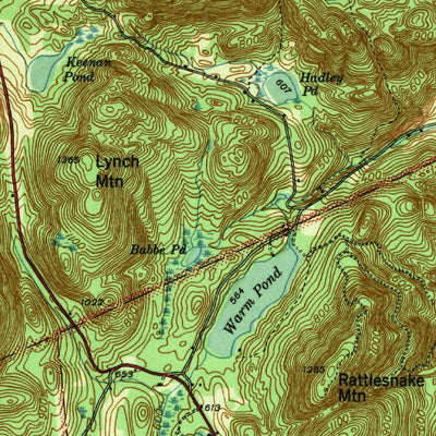United States Geological Survey Willsboro, NY-VT (1941, 62500-Scale) digital map