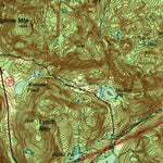 United States Geological Survey Willsboro, NY-VT (1943, 62500-Scale) digital map