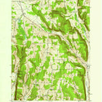 United States Geological Survey Willseyville, NY (1949, 24000-Scale) digital map
