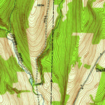 United States Geological Survey Willseyville, NY (1949, 24000-Scale) digital map