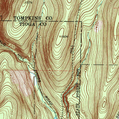 United States Geological Survey Willseyville, NY (1969, 24000-Scale) digital map