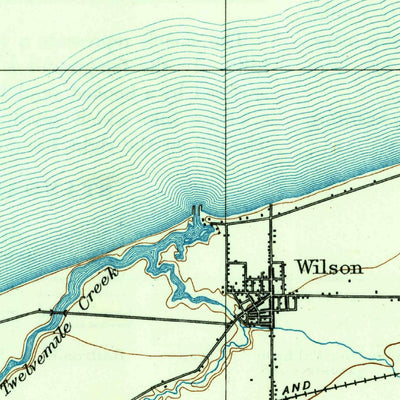 United States Geological Survey Wilson, NY (1900, 62500-Scale) digital map
