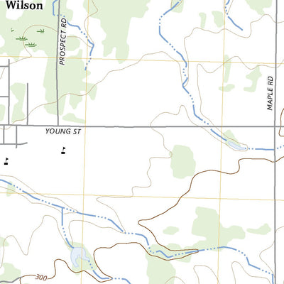 United States Geological Survey Wilson, NY (2023, 24000-Scale) digital map