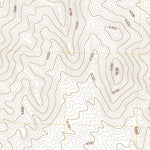 United States Geological Survey Wine Cup Ranch, NV (2021, 24000-Scale) digital map
