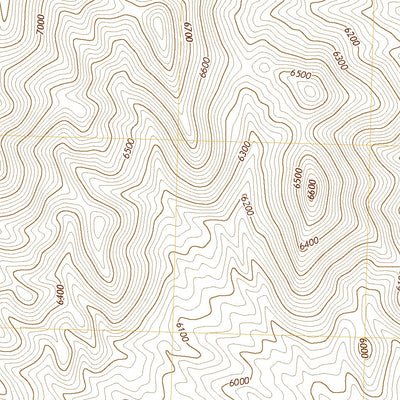 United States Geological Survey Wine Cup Ranch, NV (2021, 24000-Scale) digital map