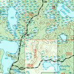 United States Geological Survey Winslow Lake, MI (1999, 24000-Scale) digital map
