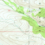 United States Geological Survey Wisdom, MT (1962, 24000-Scale) digital map