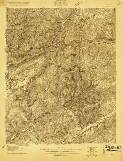 United States Geological Survey Wise, VA (1920, 48000-Scale) digital map