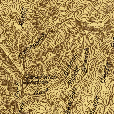 United States Geological Survey Wise, VA (1920, 48000-Scale) digital map