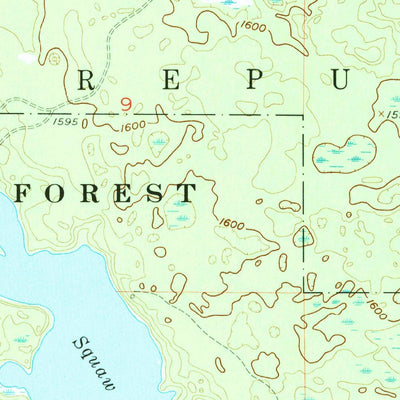 United States Geological Survey Witch Lake, MI (1955, 24000-Scale) digital map