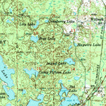 United States Geological Survey Witch Lake, MI (1955, 62500-Scale) digital map