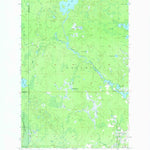 United States Geological Survey Witch Lake NE, MI (1955, 24000-Scale) digital map
