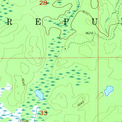 United States Geological Survey Witch Lake NE, MI (1955, 24000-Scale) digital map