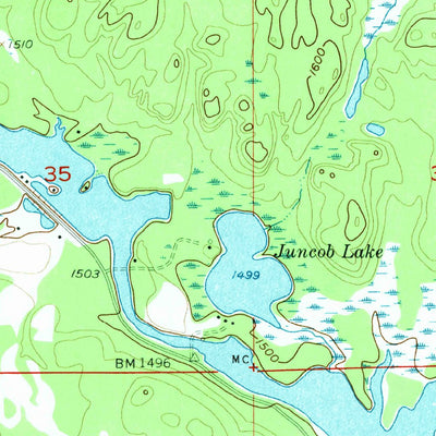 United States Geological Survey Witch Lake NE, MI (1955, 24000-Scale) digital map