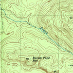 United States Geological Survey Witherbee, NY (1978, 25000-Scale) digital map