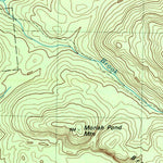 United States Geological Survey Witherbee, NY (1999, 25000-Scale) digital map