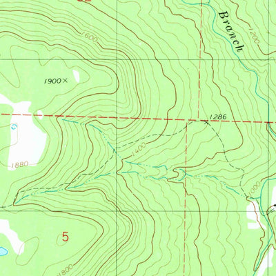 United States Geological Survey Witts Springs, AR (1980, 24000-Scale) digital map