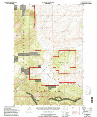 United States Geological Survey Wolf Butte, MT (1995, 24000-Scale) digital map