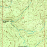 United States Geological Survey Wolf Peak, OR (1985, 24000-Scale) digital map