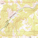 United States Geological Survey Wolverine, ID (1981, 24000-Scale) digital map