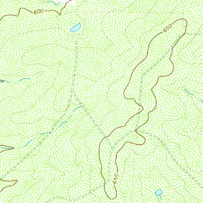United States Geological Survey Woodard Lake, TX (1972, 24000-Scale) digital map